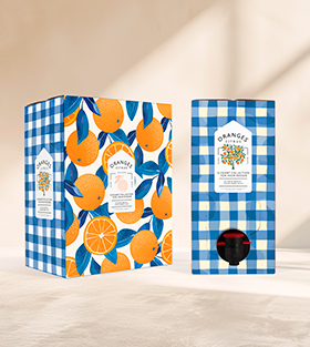 BIB en carton ondulé personnalisable pour jus, vin, liquide 